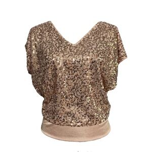 Express Pink Sequin Dolman Sleeve Blouse